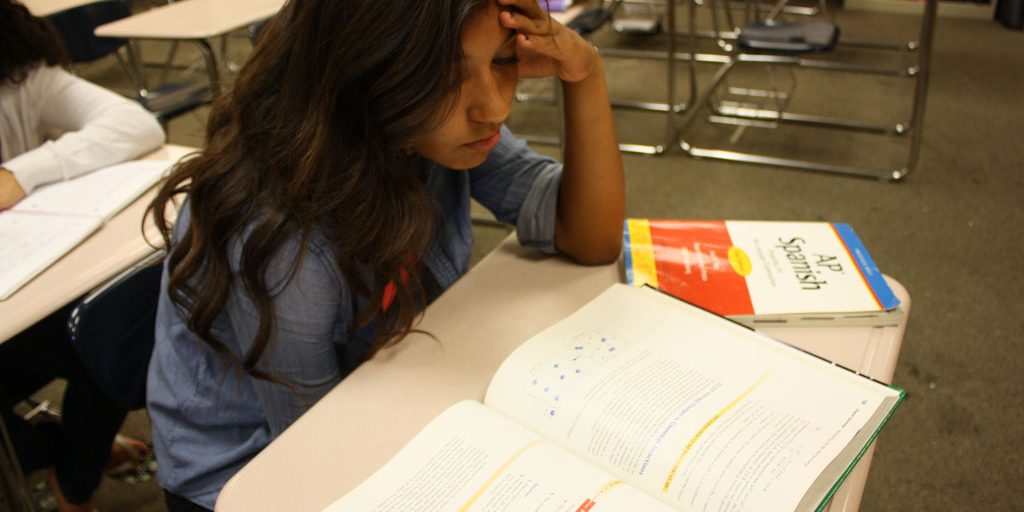 El-Monte-Union-HSD-Advanced-Placement El-Monte-Union-HSD