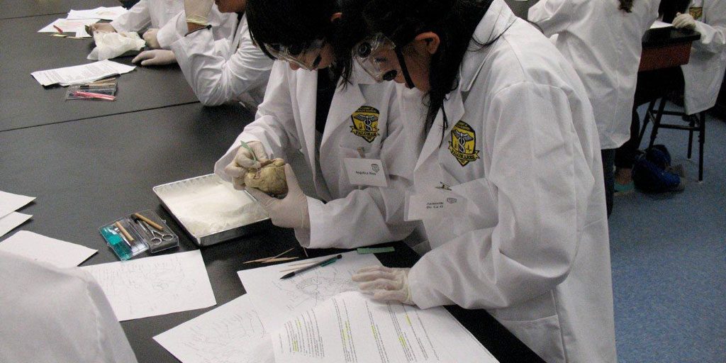 Pomona-USD-Palomares-Academy Pomona-USD