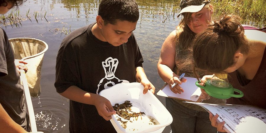 Yolo-COE-SOLAR2 Yolo County Office of Education